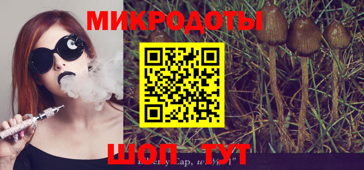 Псилоцибиновые грибы мицелий Алушта